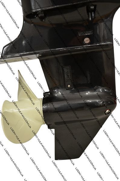 Лодочный 2-х тактный мотор PARSUN T15 BMS T15BMS фото