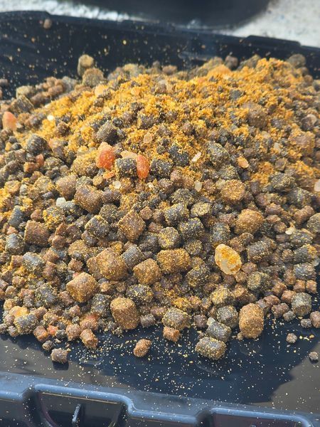 Сподовая смесь CC Moore Odyssey XXX Spod Mix Bucket 2,5 кг 90961 фото
