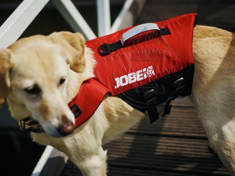 Спасательный жилет для собак JOBE Pet Vest Red M (14-27кг) 240020001-M фото