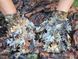 Маскировочные перчатки Hillman Перчатки Hillman фото 5