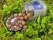 Плавающие бойлы CC Moore Odyssey XXX Cork Ball Pop Ups 15 mm 50 шт 95335 фото 2