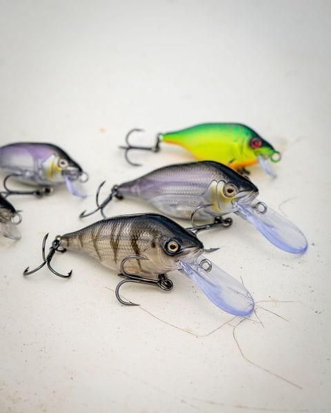 Воблер Fox Funk Bug 50mm DR - UV Gold Head NHL487 фото