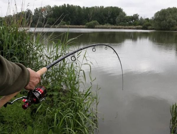 Катушка с байтраннером Carp Zoom Specific 6000BBC CZ5181 фото