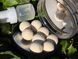 Плаваючі бойли DYNAMITE BAITS Hit n Run Pop-Up White 15mm + бустер DY1272 фото 7