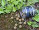 Бойл CC Moore Odyssey XXX Air Ball Wafters 18mm 35 шт 90860 фото 3