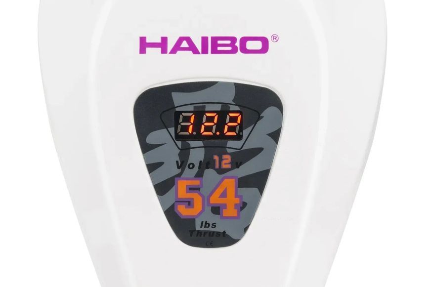 Човновий електродвигун Haibo D54 D54 фото