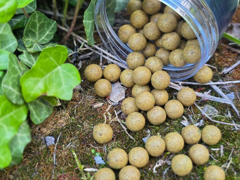 Бойл CC Moore Odyssey XXX Air Ball Wafters 12mm 70 шт 90563 фото